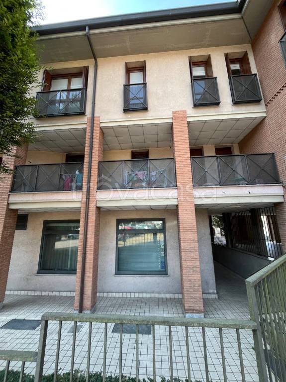 immagine annuncio 14 di 15