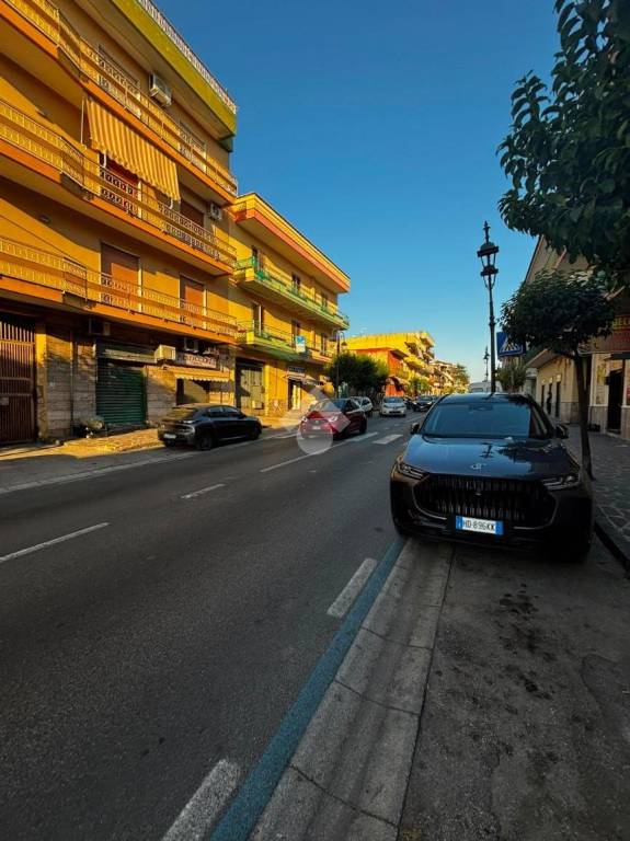 immagine annuncio 9 di 12