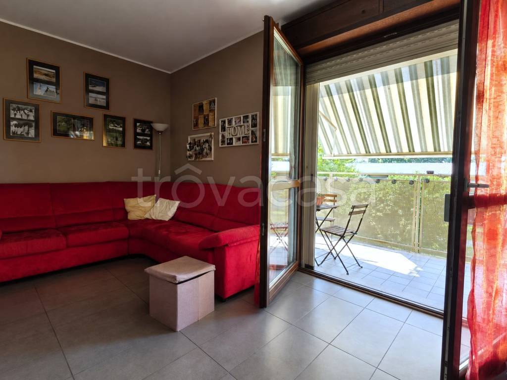 immagine annuncio 11 di 15