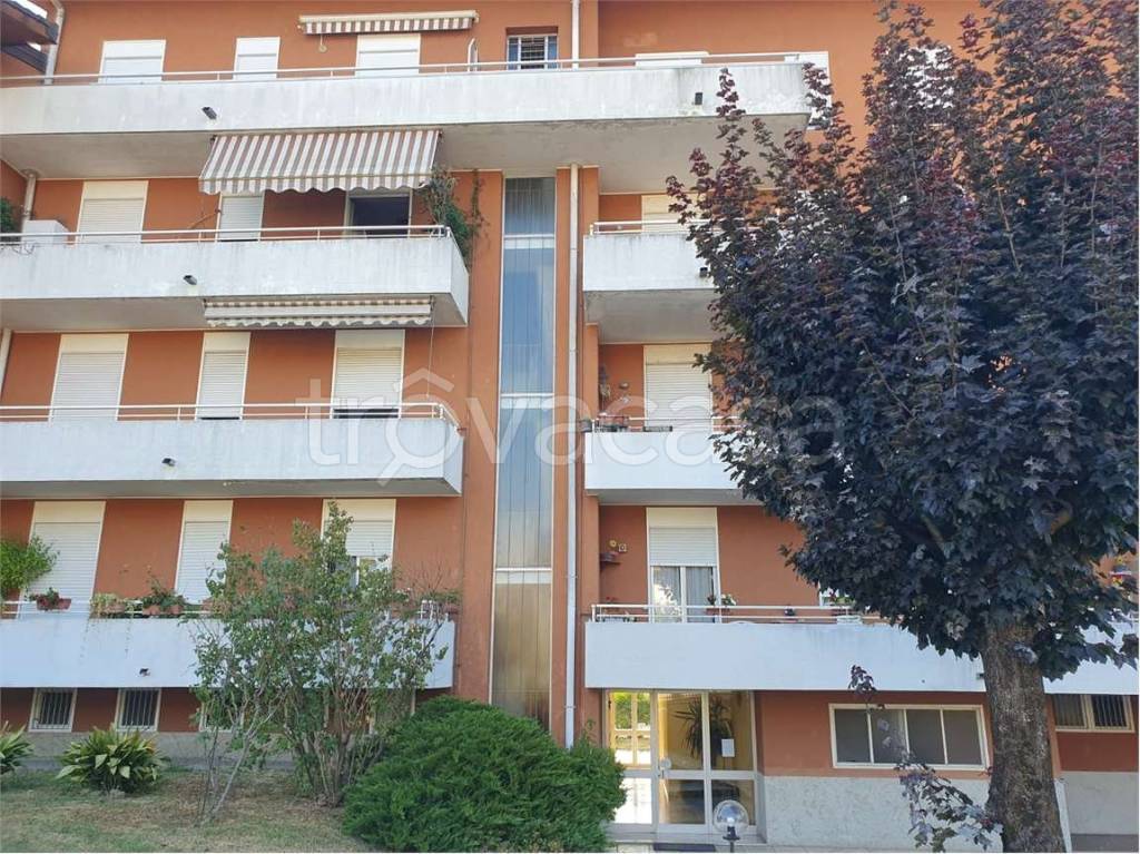 immagine annuncio 1 di 14