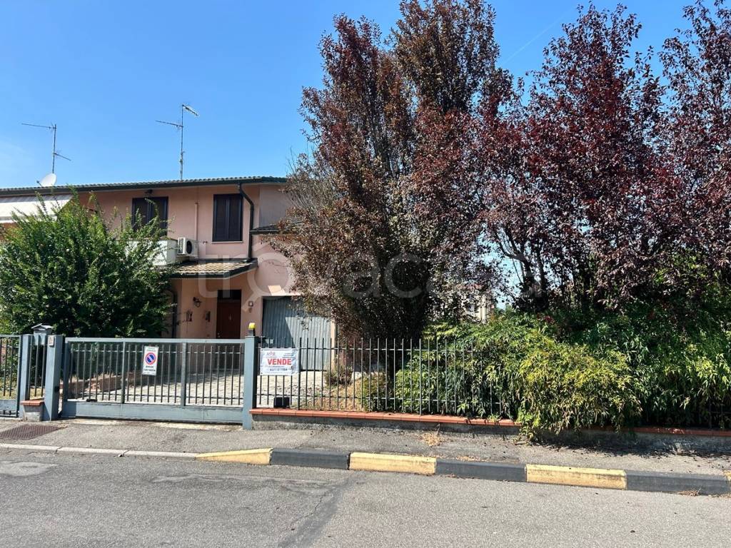 immagine annuncio 3 di 13
