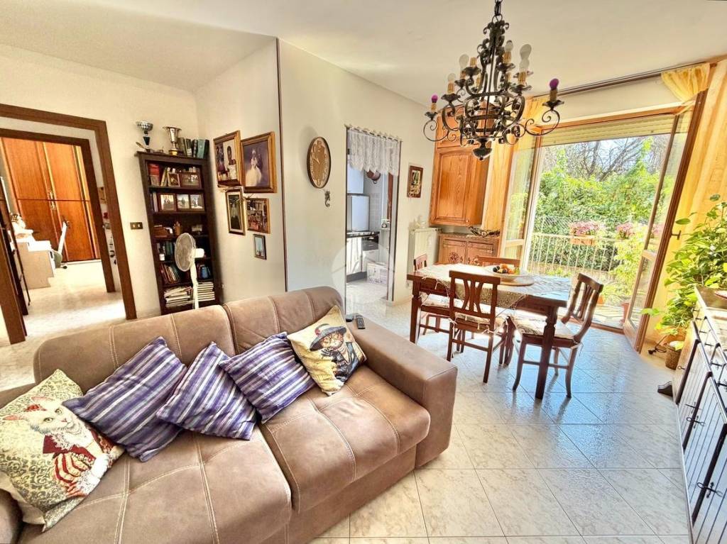immagine annuncio 5 di 15