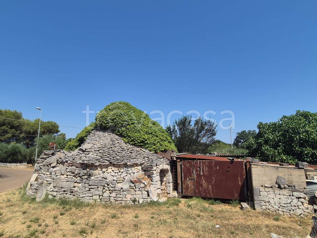 immagine annuncio 10 di 14