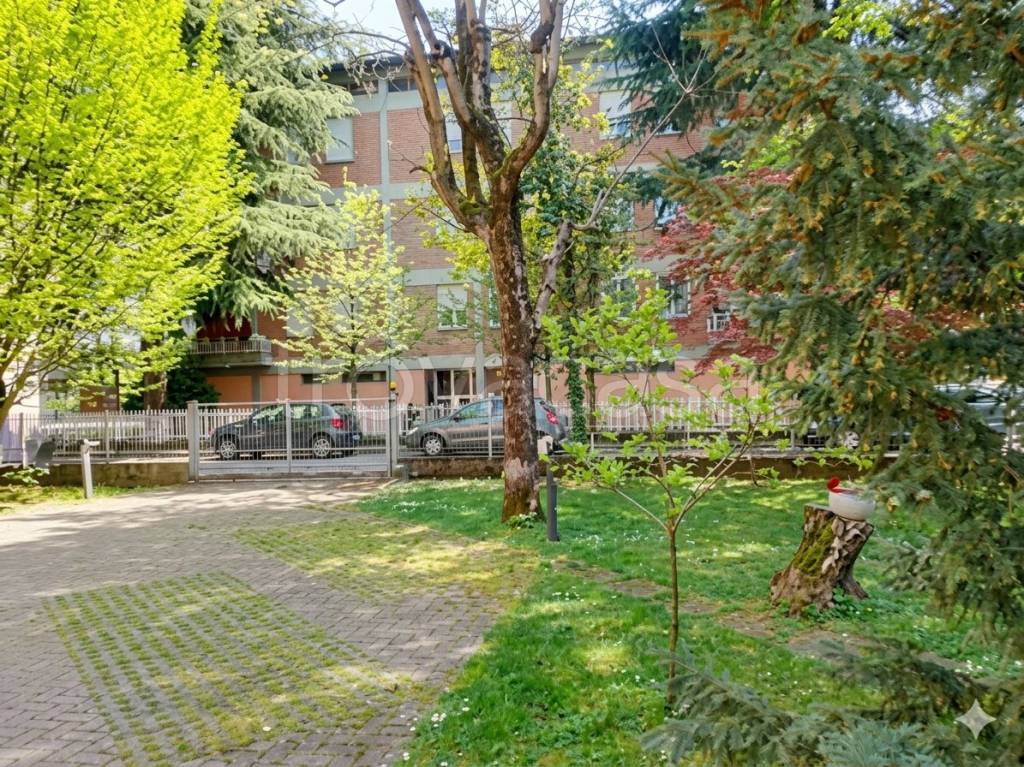 immagine annuncio 3 di 14