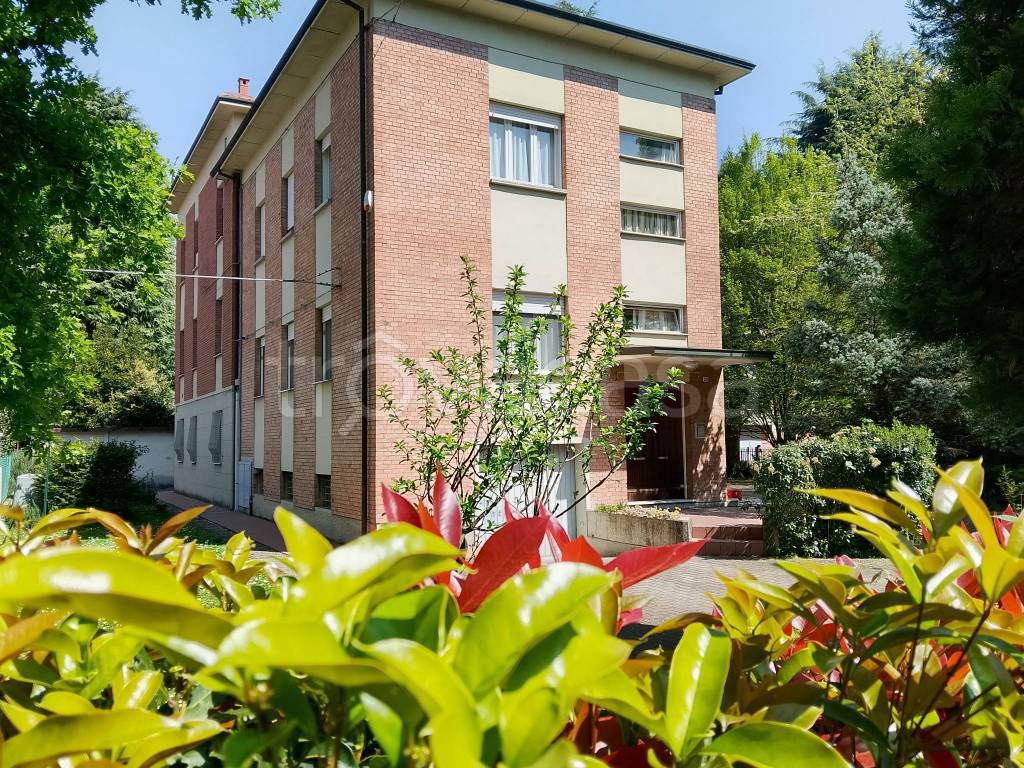 immagine annuncio 9 di 14