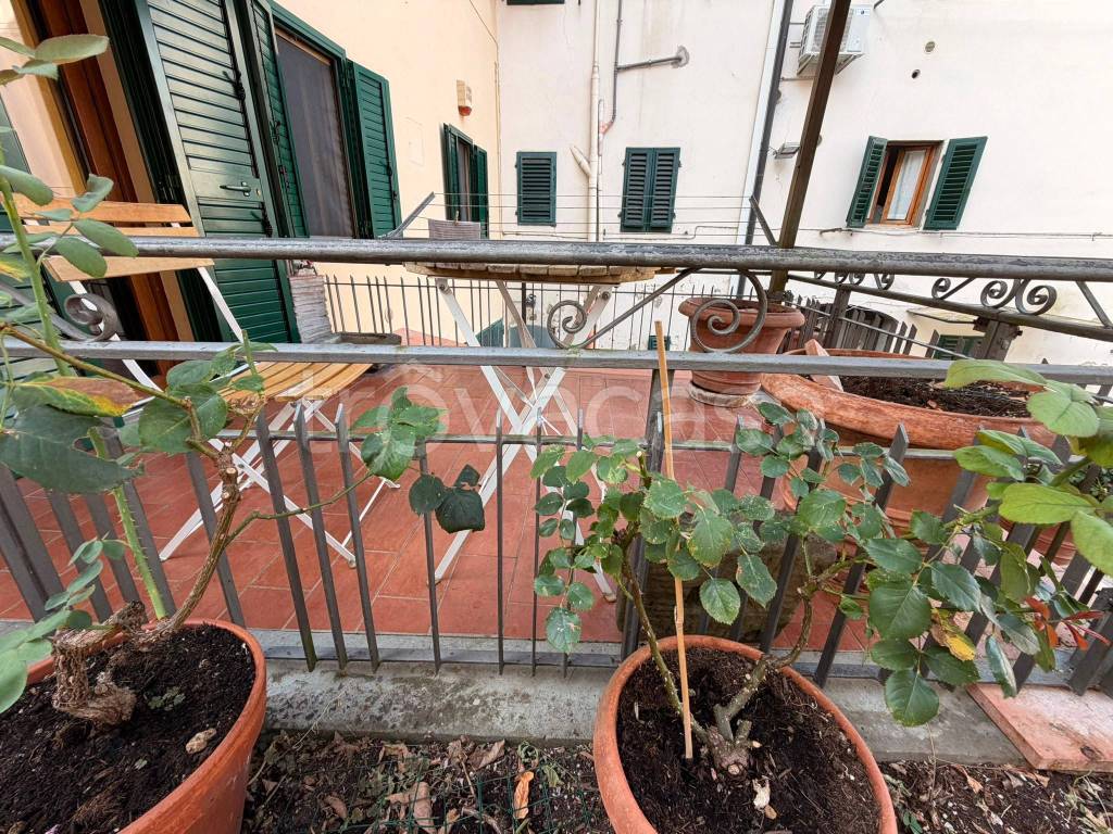 immagine annuncio 9 di 14