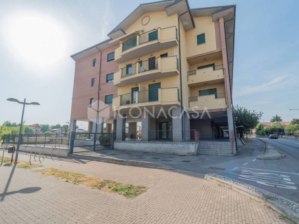 immagine annuncio 11 di 12