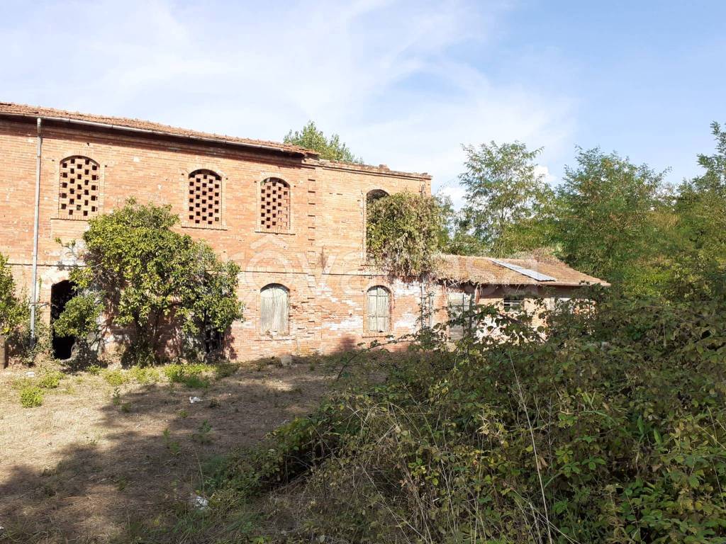 immagine annuncio 6 di 12