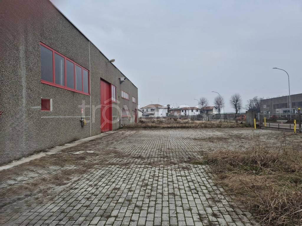 immagine annuncio 5 di 15