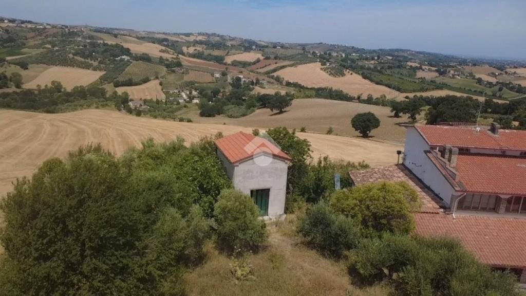 immagine annuncio 2 di 11