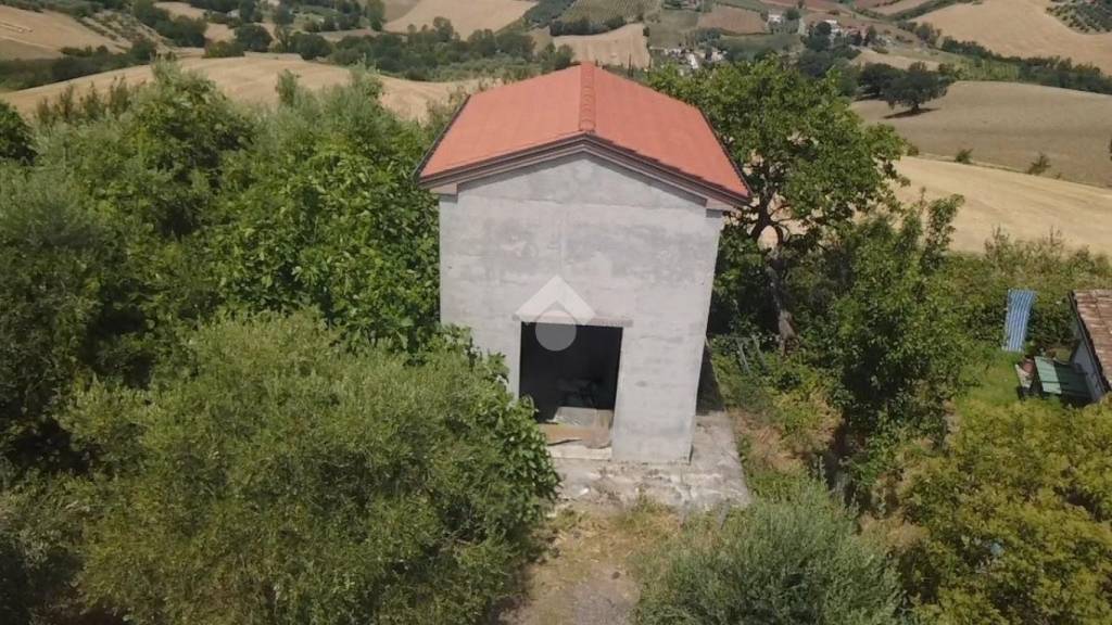 immagine annuncio 3 di 11