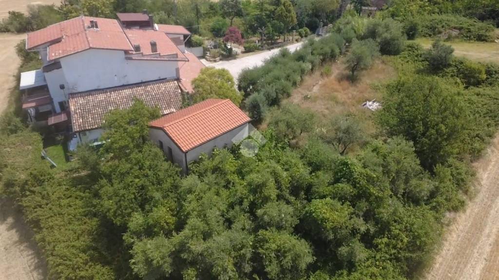 immagine annuncio 8 di 11