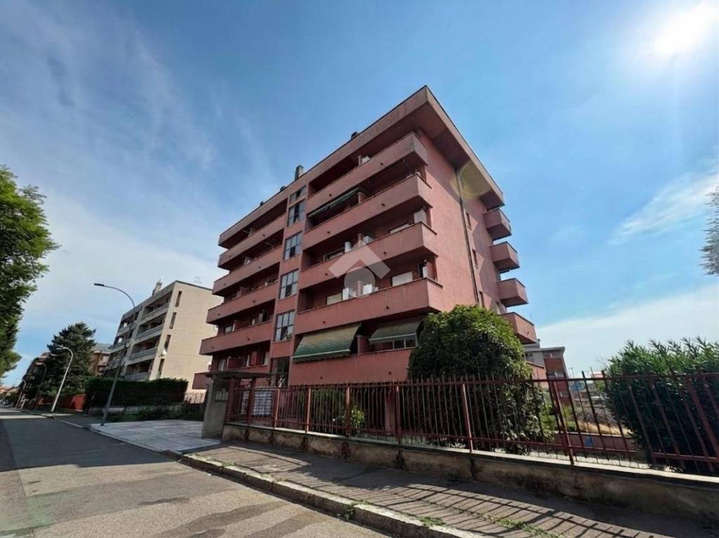 immagine annuncio 9 di 14