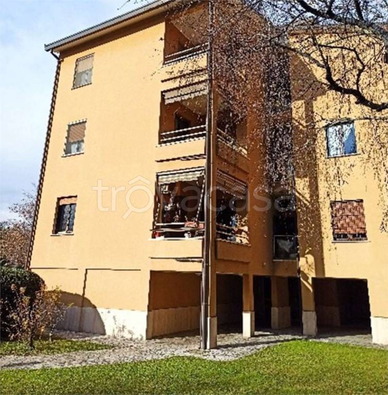 immagine annuncio 4 di 14