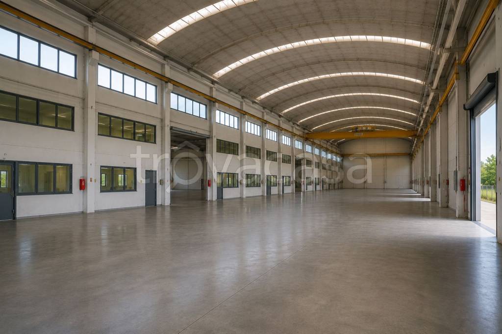 immagine annuncio 3 di 7