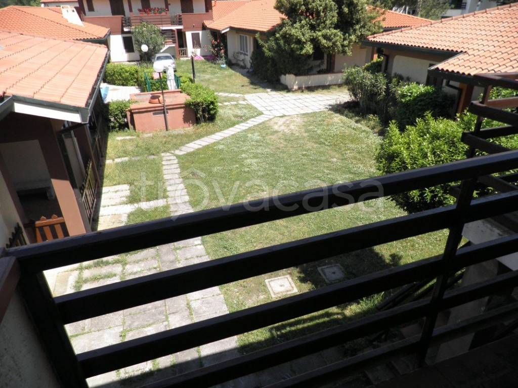 immagine annuncio 1 di 12
