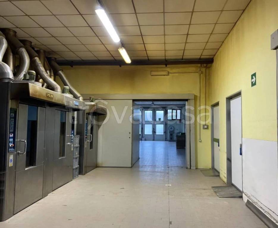 immagine annuncio 6 di 14