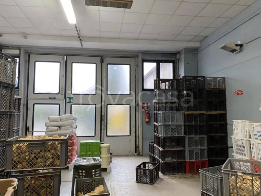 immagine annuncio 9 di 14
