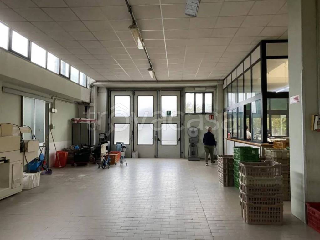 immagine annuncio 10 di 14