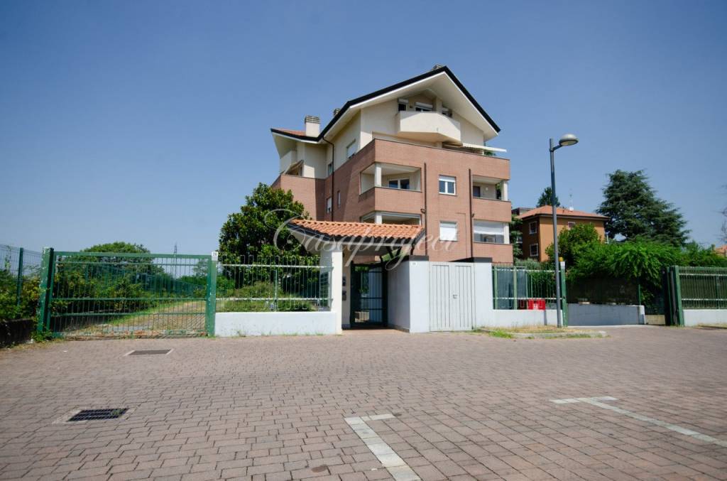 immagine annuncio 6 di 15