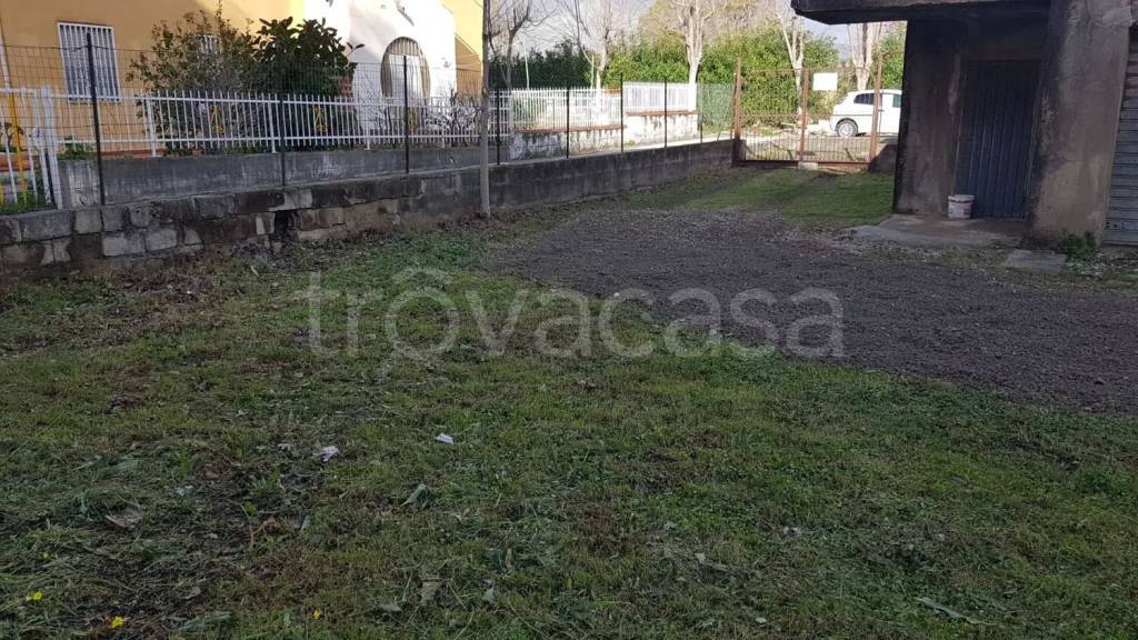 immagine annuncio 8 di 12