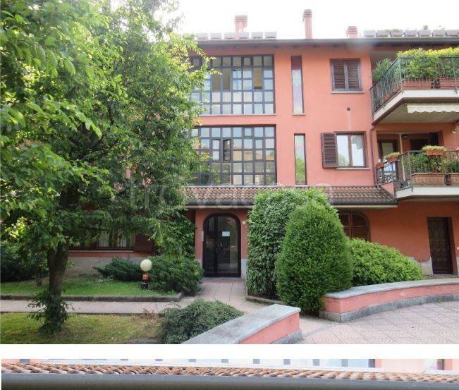 immagine annuncio 2 di 15