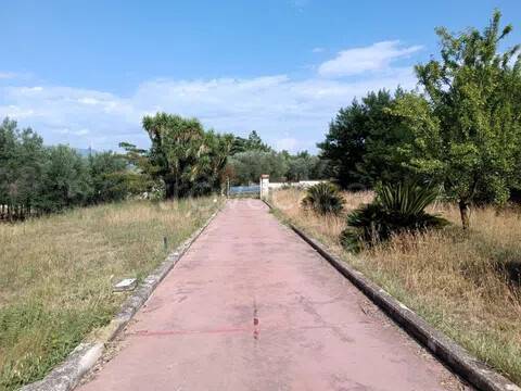 immagine annuncio 8 di 14