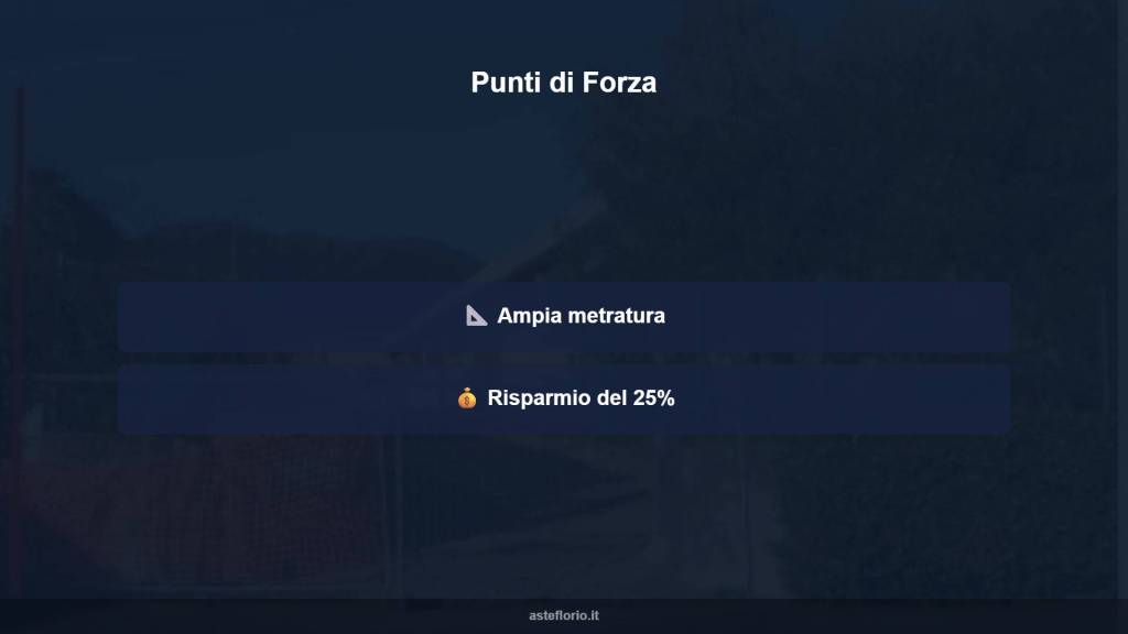 immagine annuncio 6 di 10
