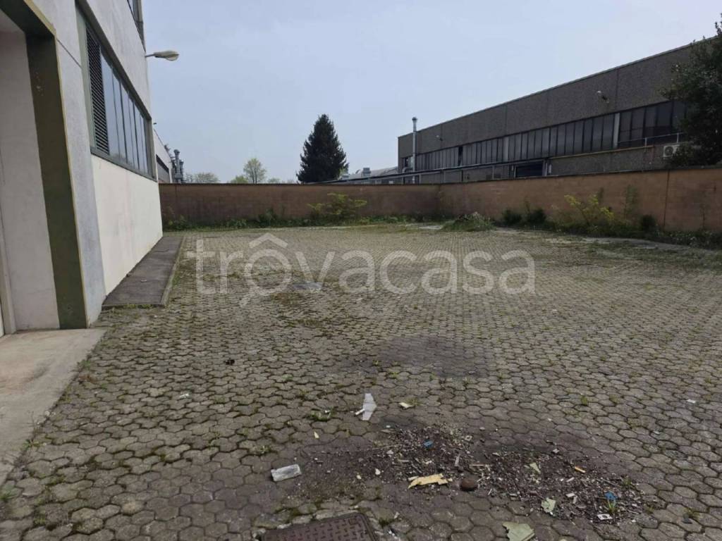 immagine annuncio 9 di 15
