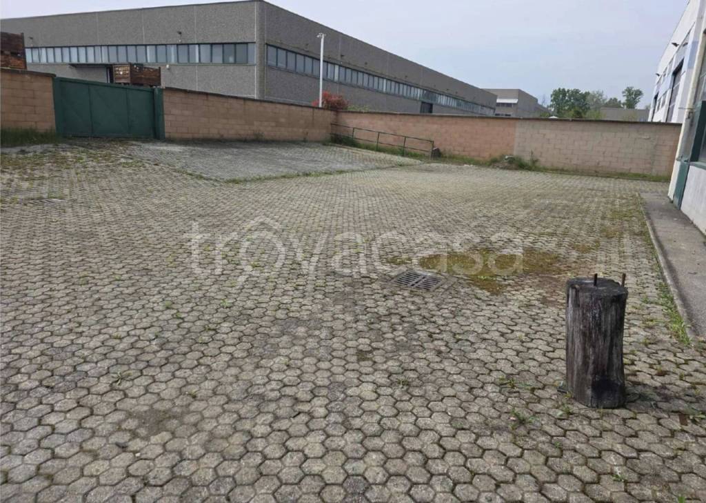 immagine annuncio 10 di 15
