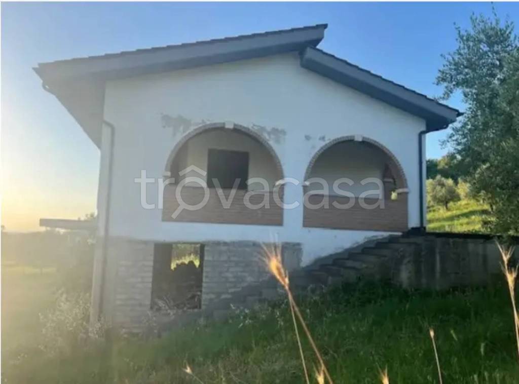 immagine annuncio 5 di 7