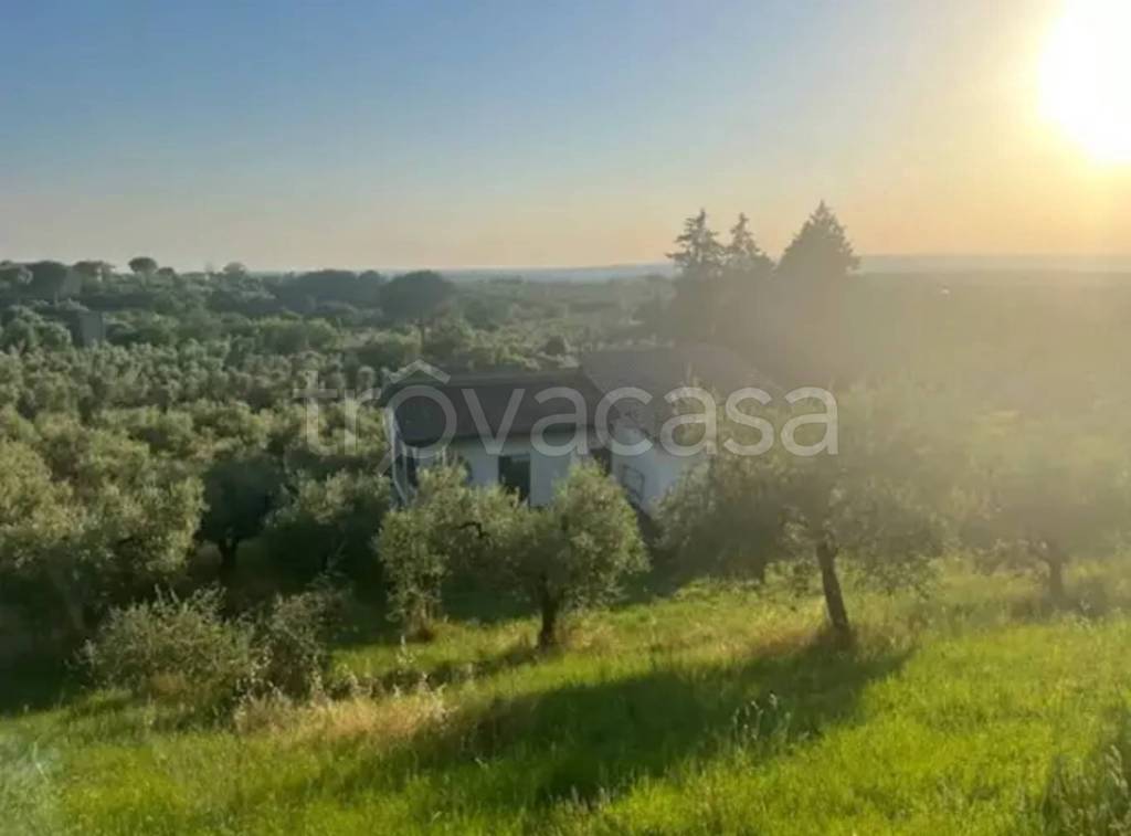 immagine annuncio 4 di 7