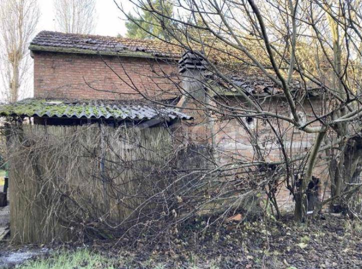 immagine annuncio 10 di 14