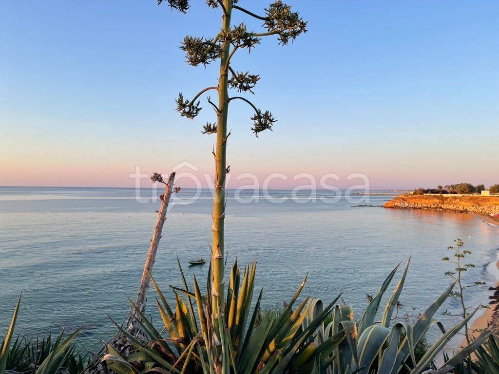 immagine annuncio 10 di 14