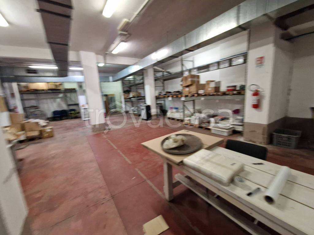 immagine annuncio 9 di 15