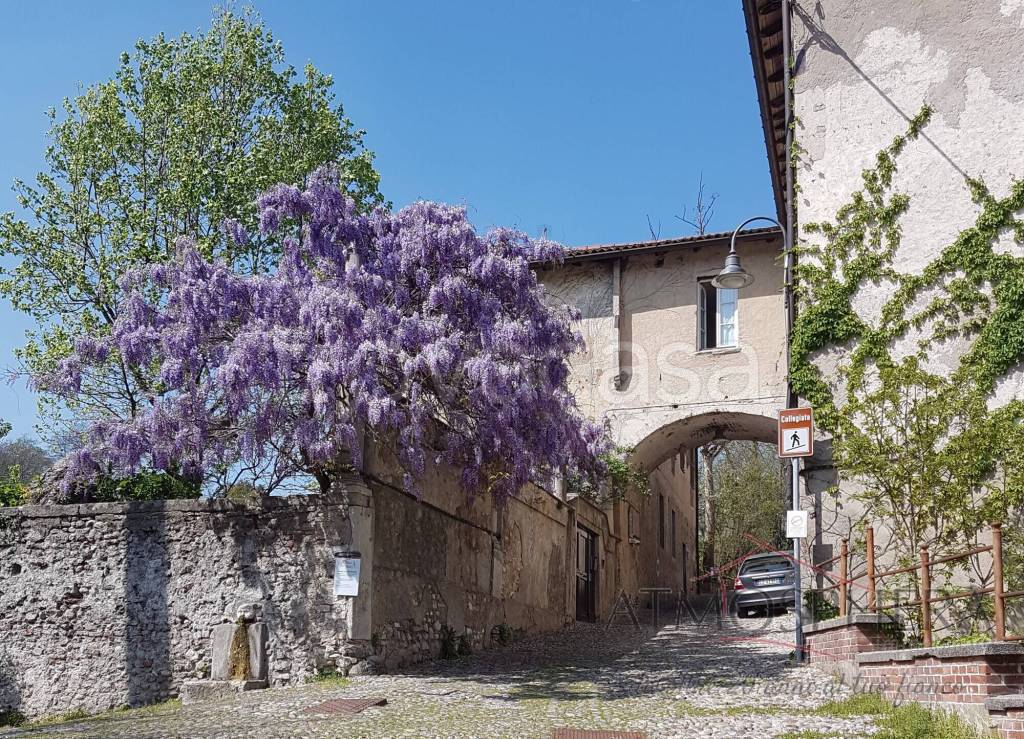 immagine annuncio 12 di 14