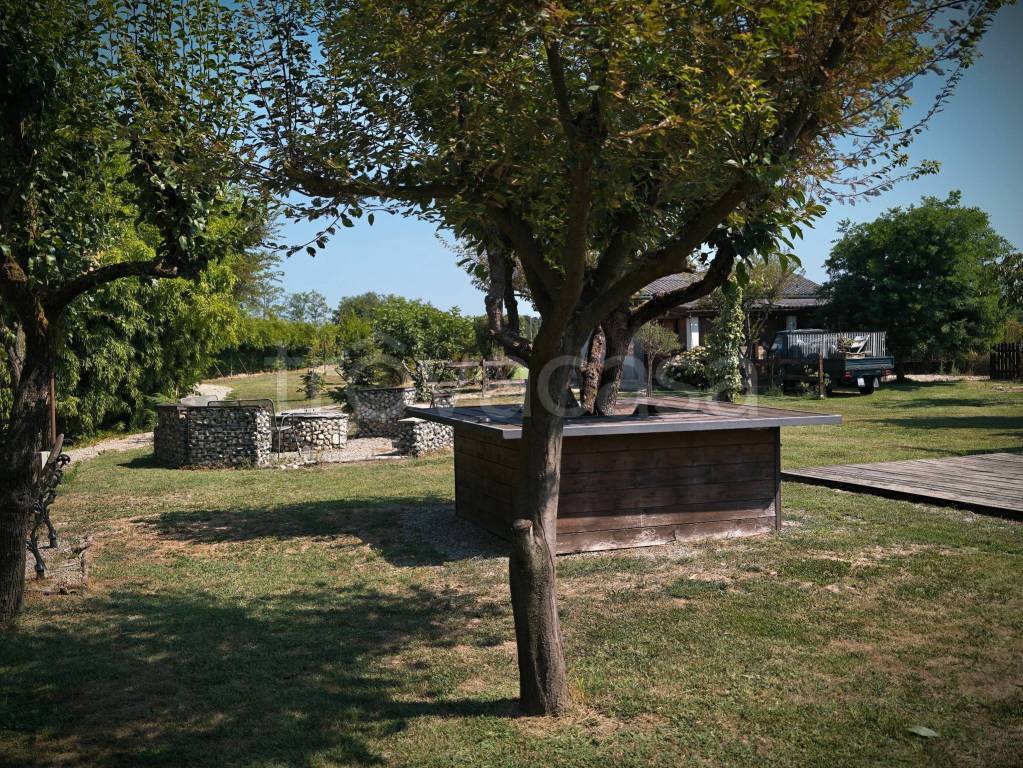 immagine annuncio 5 di 14