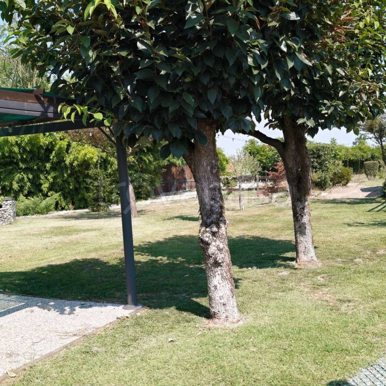immagine annuncio 12 di 14