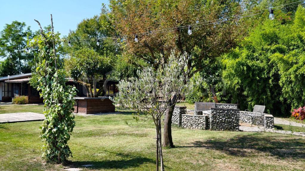 immagine annuncio 2 di 14