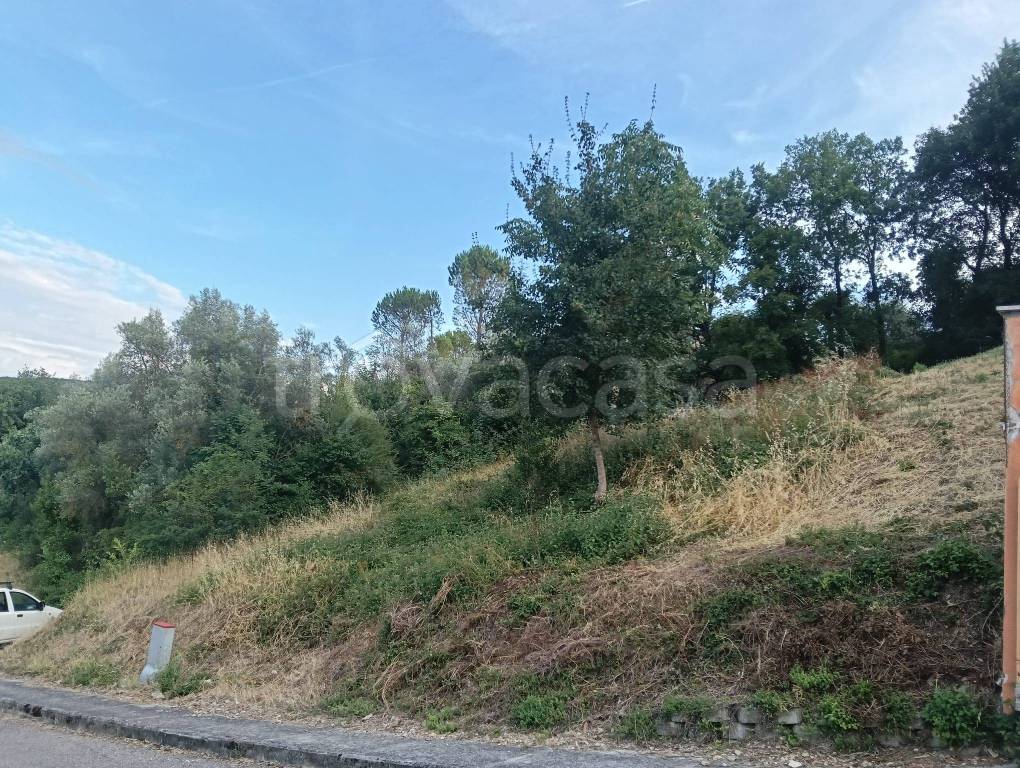 immagine annuncio 3 di 7