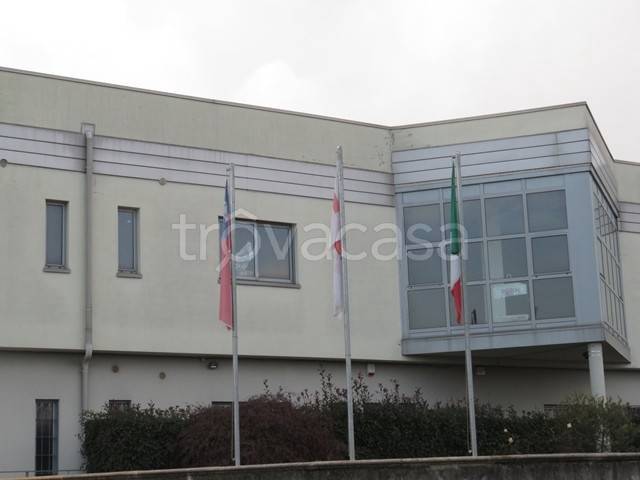 immagine annuncio 8 di 11