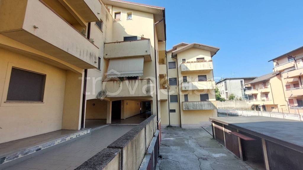 immagine annuncio 10 di 15