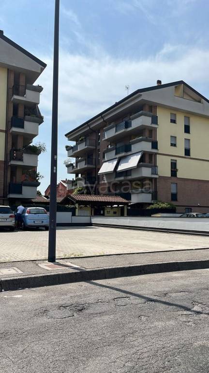 immagine annuncio 1 di 14