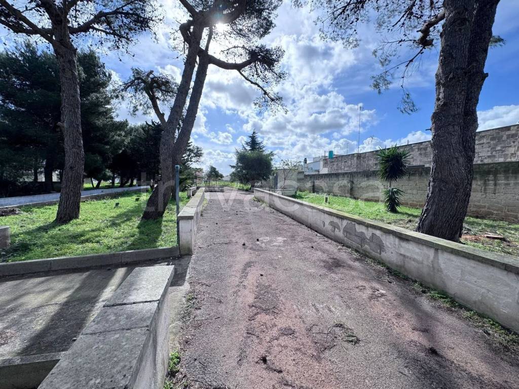immagine annuncio 2 di 11