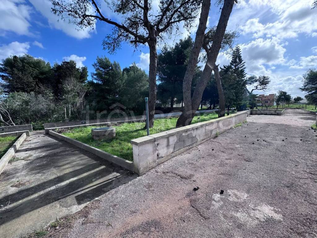 immagine annuncio 4 di 11