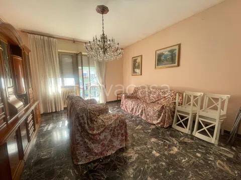 immagine annuncio 7 di 14