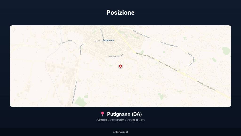 immagine annuncio 12 di 15