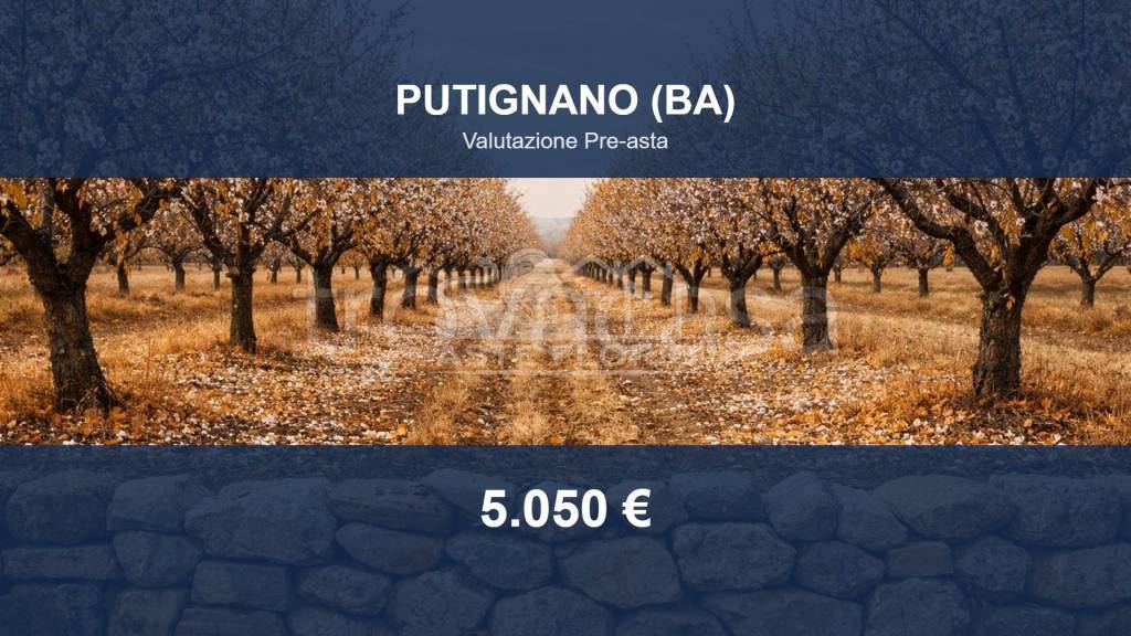 terreno in vendita a Putignano