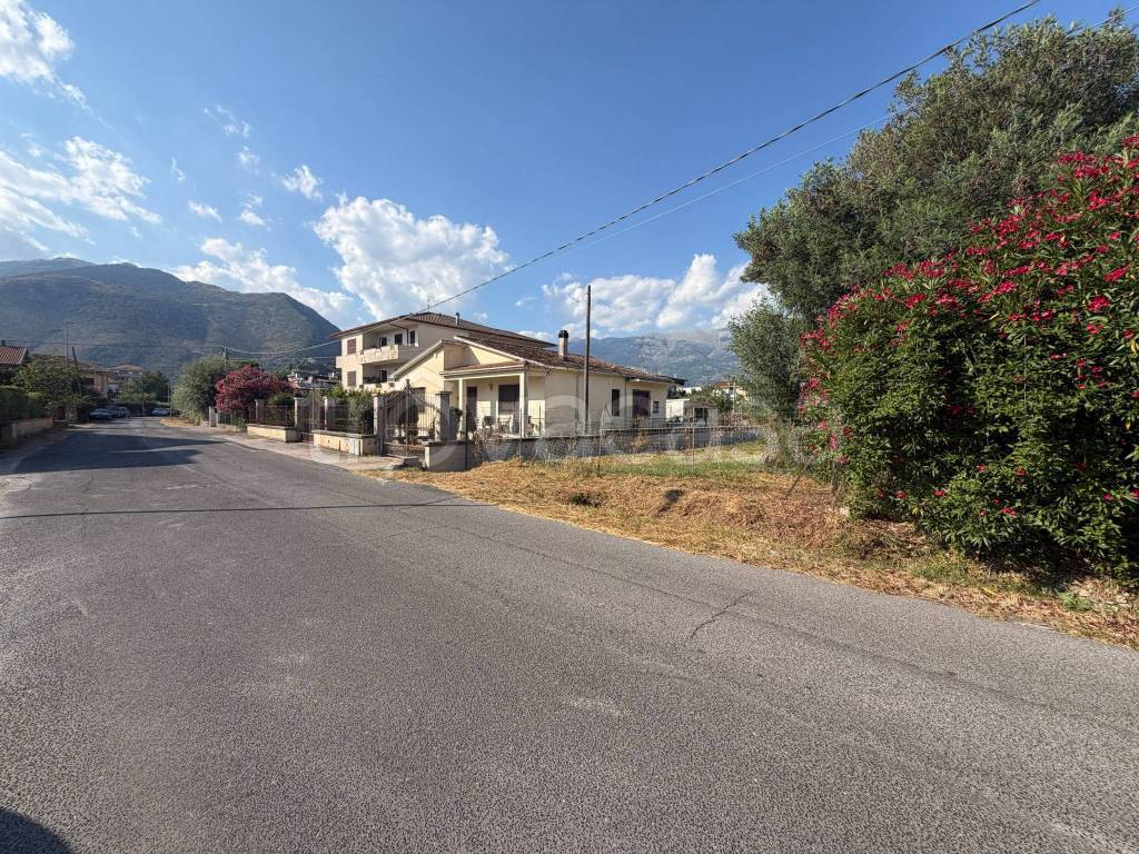 immagine annuncio 3 di 11