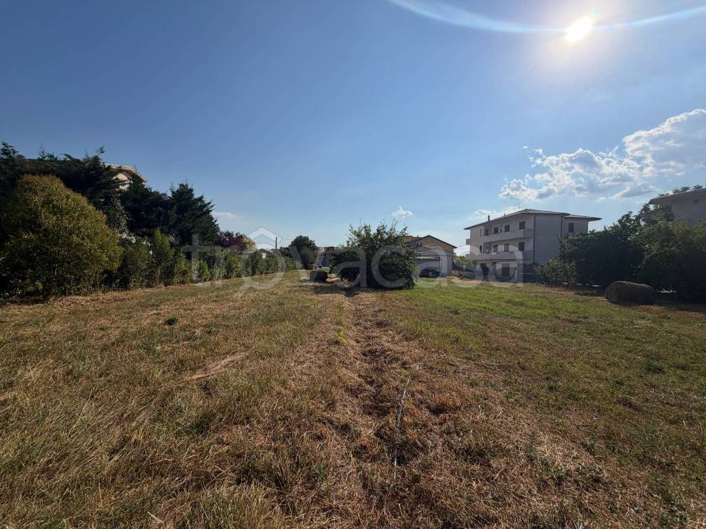 immagine annuncio 7 di 11